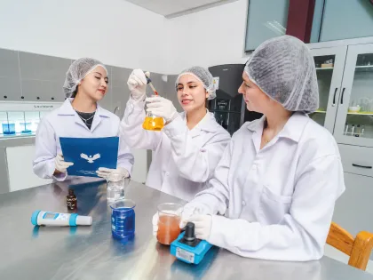 Centros o Grupos y Círculos de Investigación